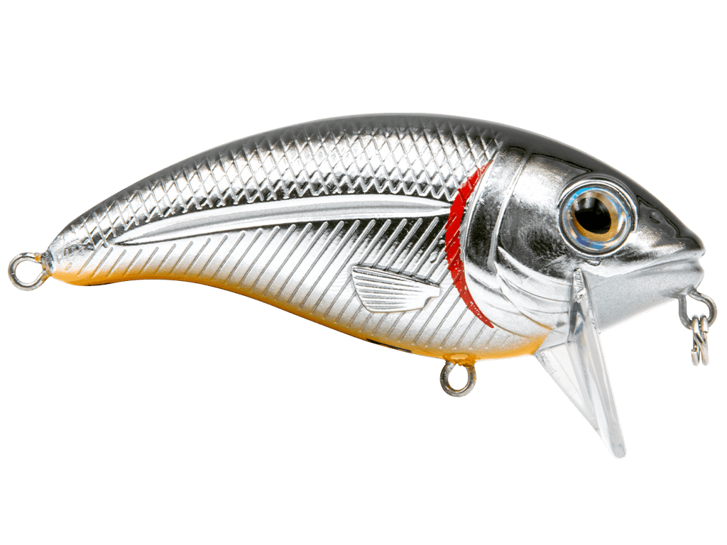 Bull Nose - Taylor Holler Tackle Co.