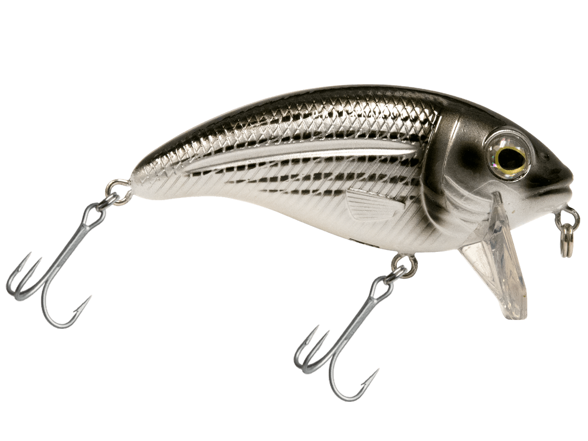 Bull Nose - Taylor Holler Tackle Co.