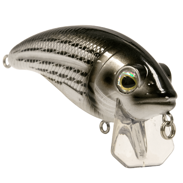 Bull Nose - Taylor Holler Tackle Co.