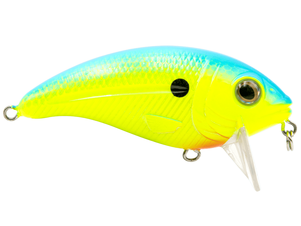 Bull Nose - Taylor Holler Tackle Co.