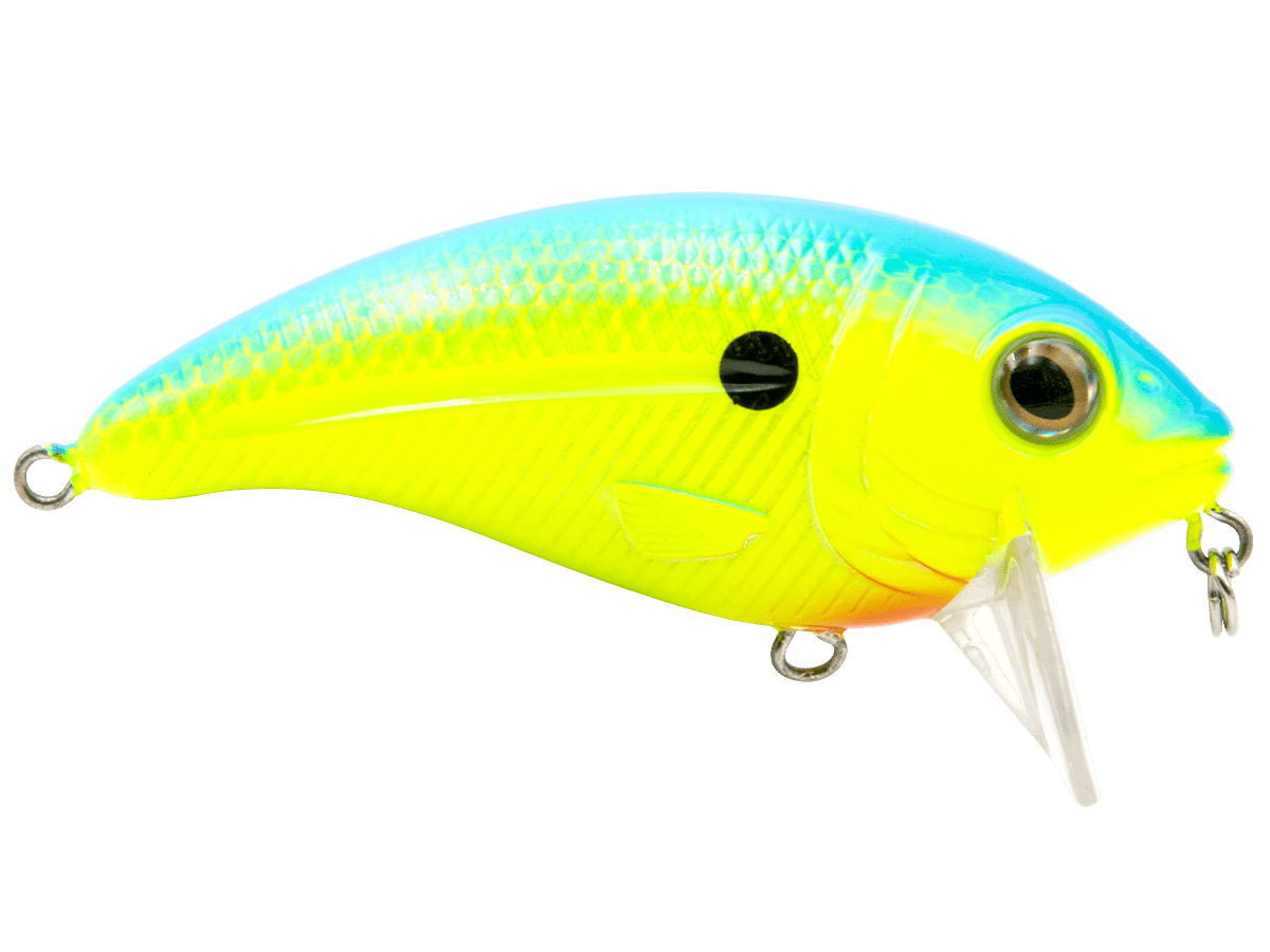 Bull Nose - Taylor Holler Tackle Co.