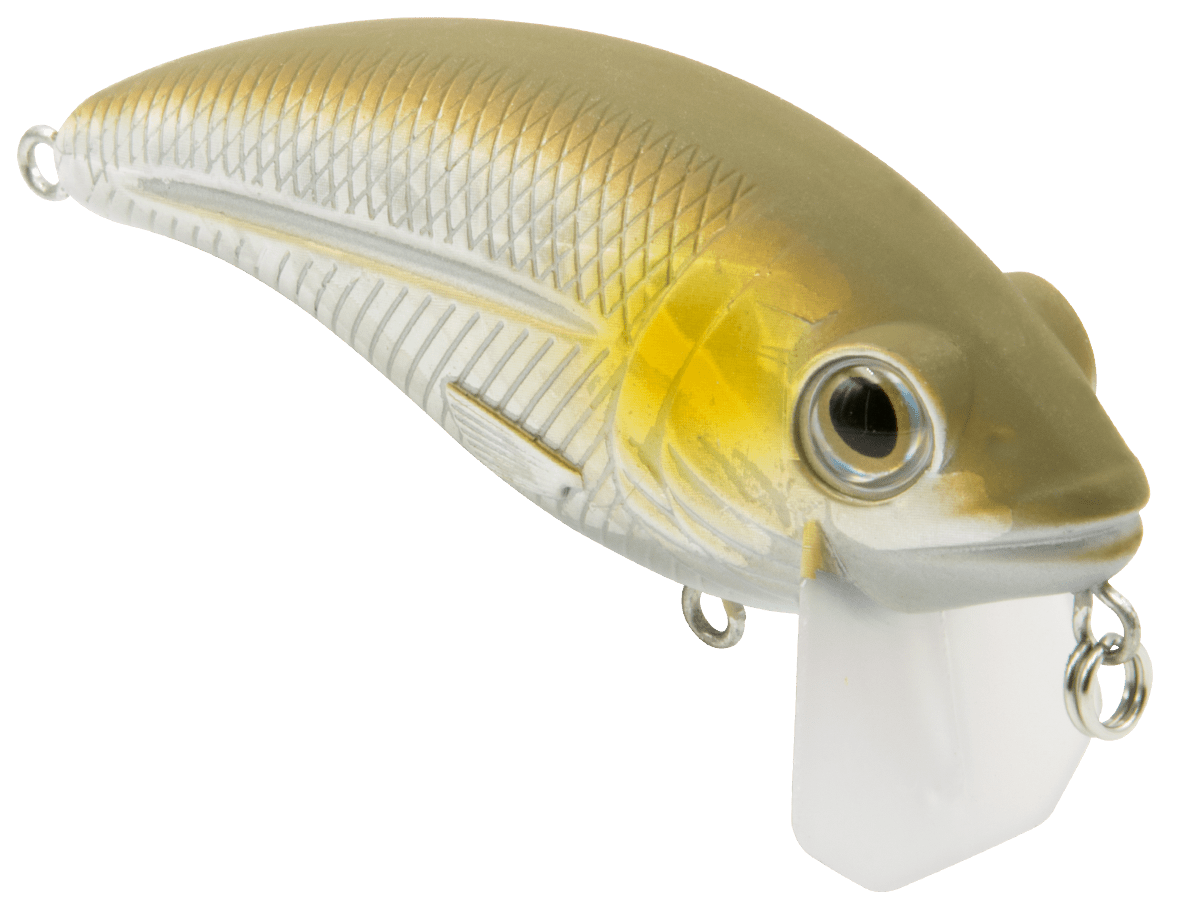 Bull Nose - Taylor Holler Tackle Co.