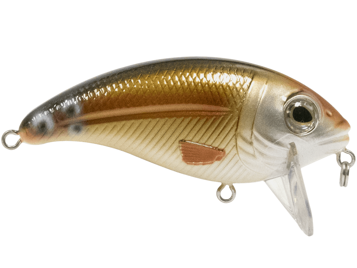 Bull Nose - Taylor Holler Tackle Co.