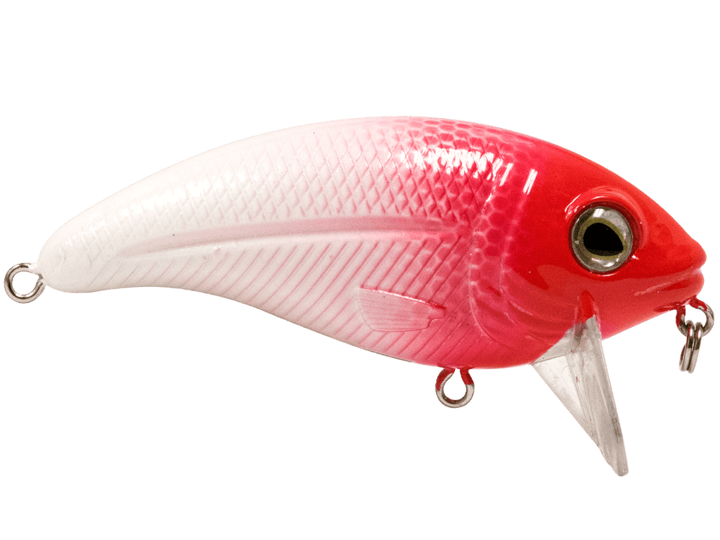 Bull Nose - Taylor Holler Tackle Co.