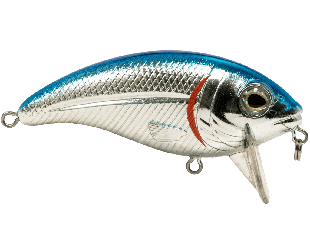 Bull Nose - Taylor Holler Tackle Co.