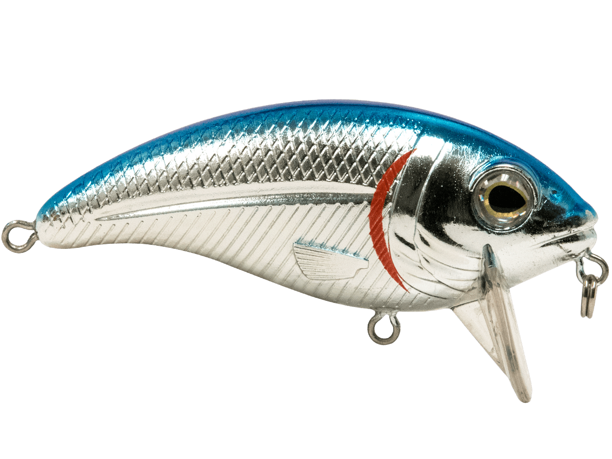 Bull Nose - Taylor Holler Tackle Co.