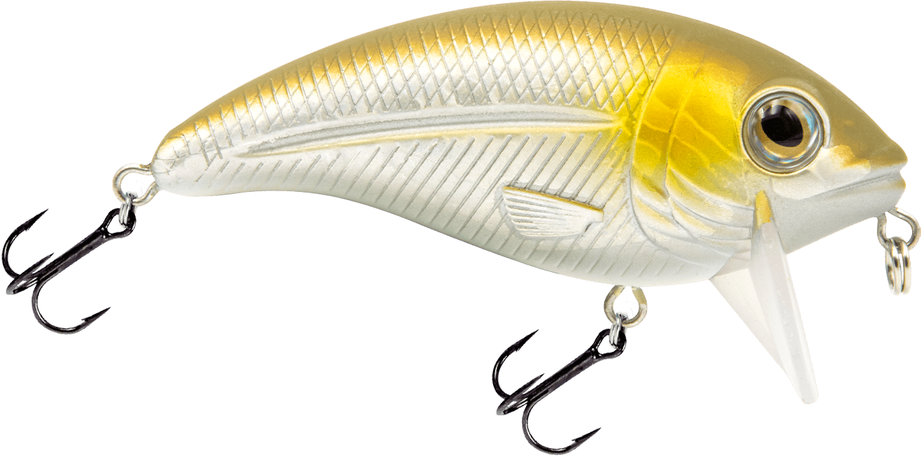 Bull Nose - Taylor Holler Tackle Co.