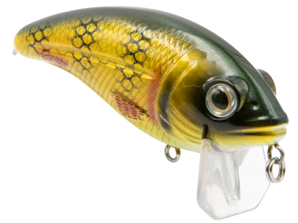 Bull Nose - Taylor Holler Tackle Co.