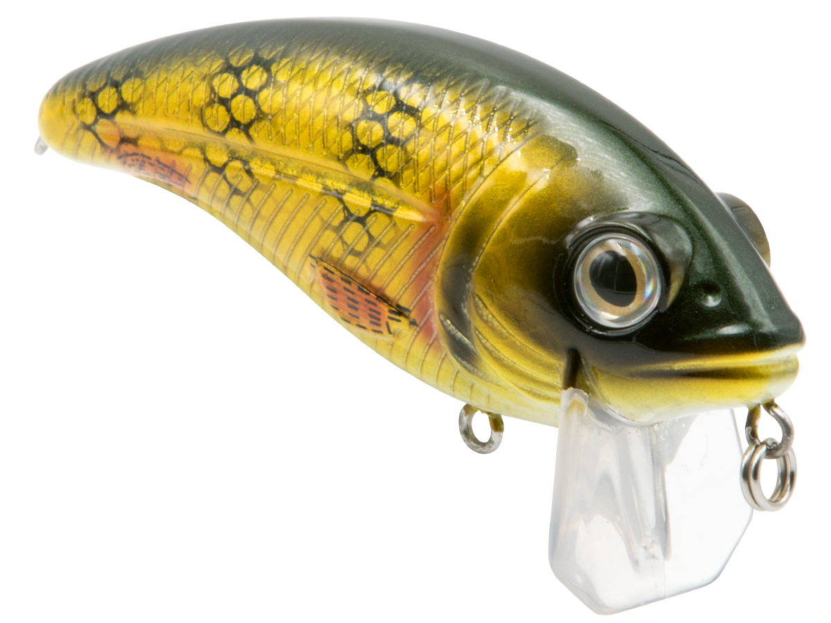 Bull Nose - Taylor Holler Tackle Co.