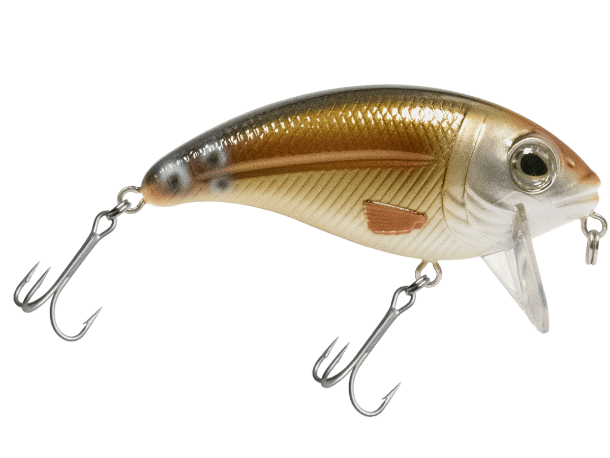 Bull Nose - Taylor Holler Tackle Co.