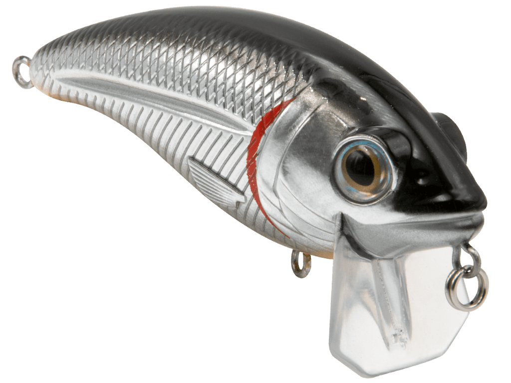 Bull Nose - Taylor Holler Tackle Co.
