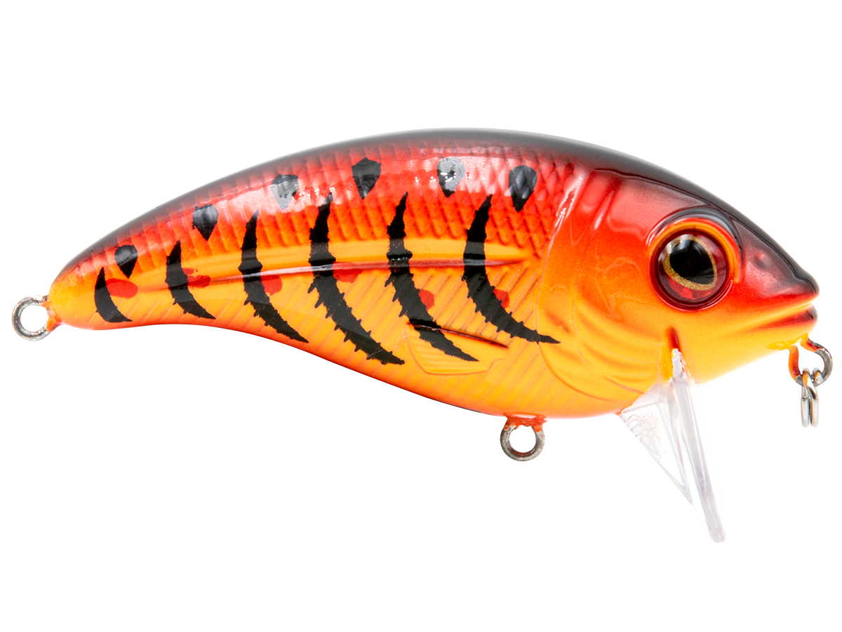Bull Nose - Taylor Holler Tackle Co.