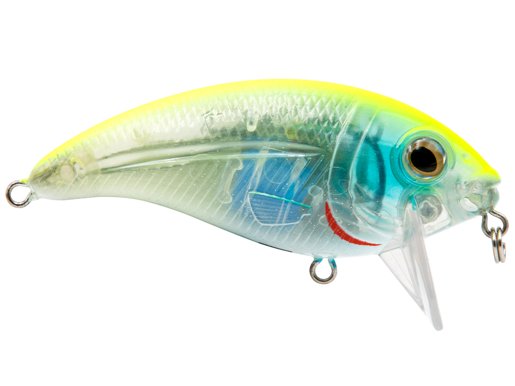 Bull Nose - Taylor Holler Tackle Co.