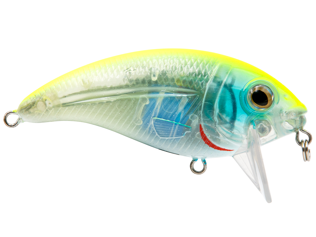 Bull Nose - Taylor Holler Tackle Co.