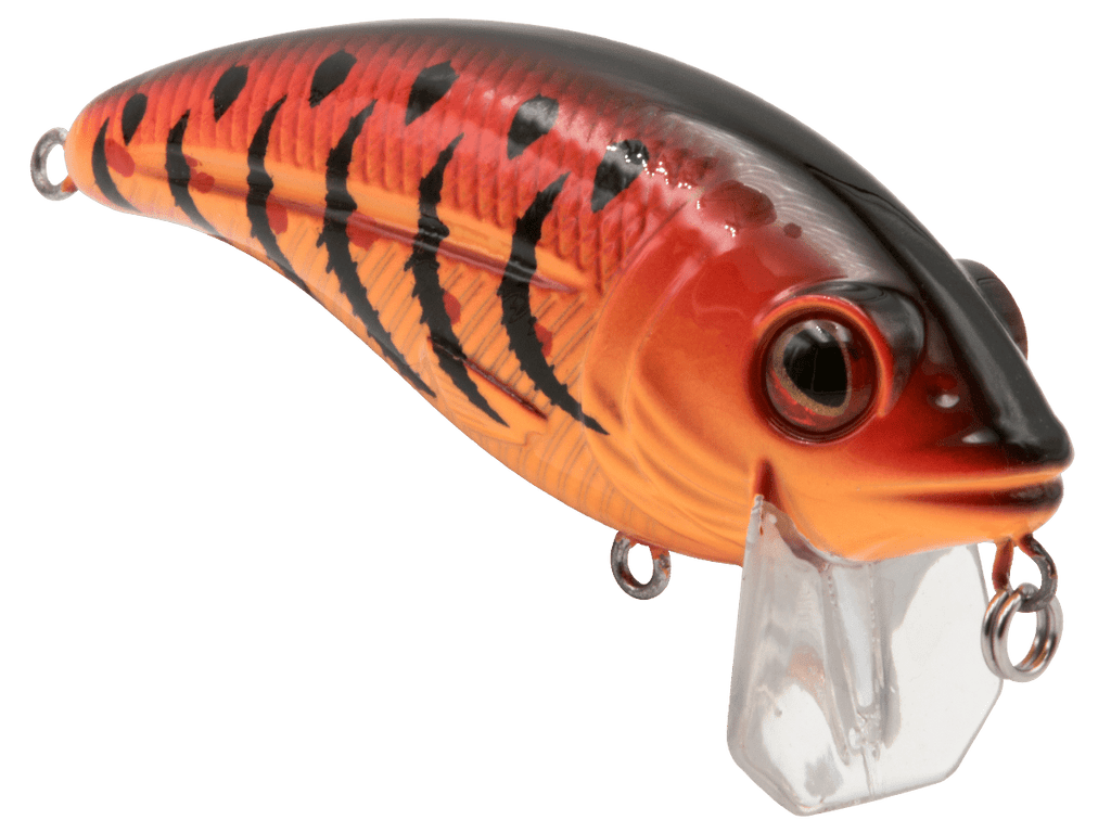 Bull Nose - Taylor Holler Tackle Co.