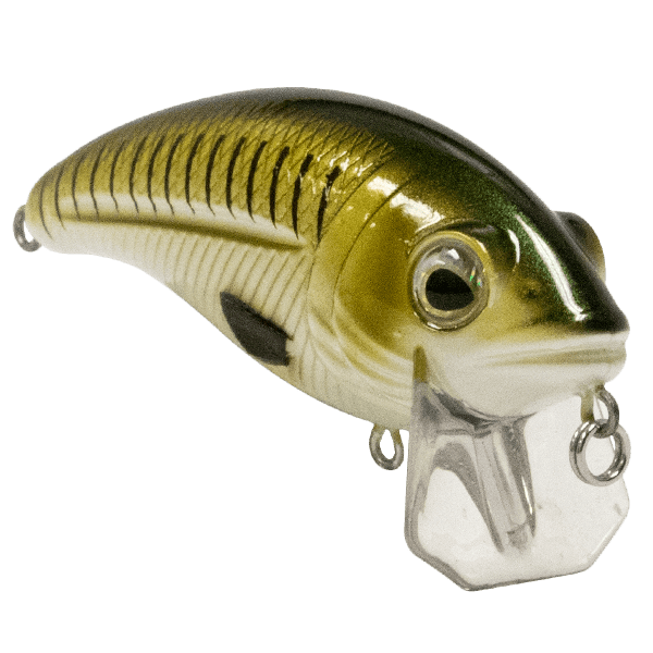 Bull Nose - Taylor Holler Tackle Co.