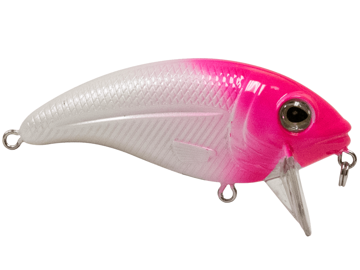 Bull Nose - Taylor Holler Tackle Co.