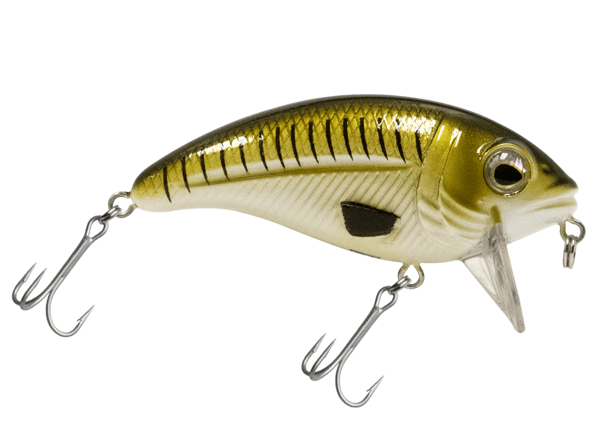 Bull Nose - Taylor Holler Tackle Co.