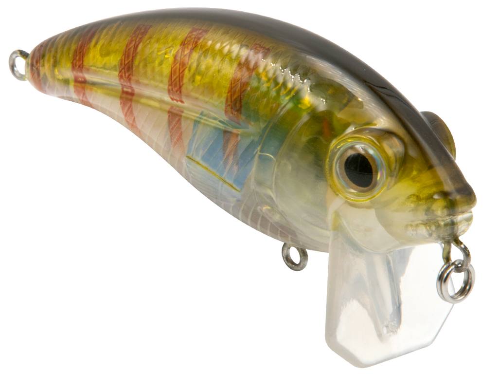 Bull Nose - Taylor Holler Tackle Co.