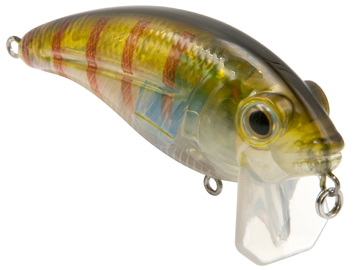 Bull Nose - Taylor Holler Tackle Co.