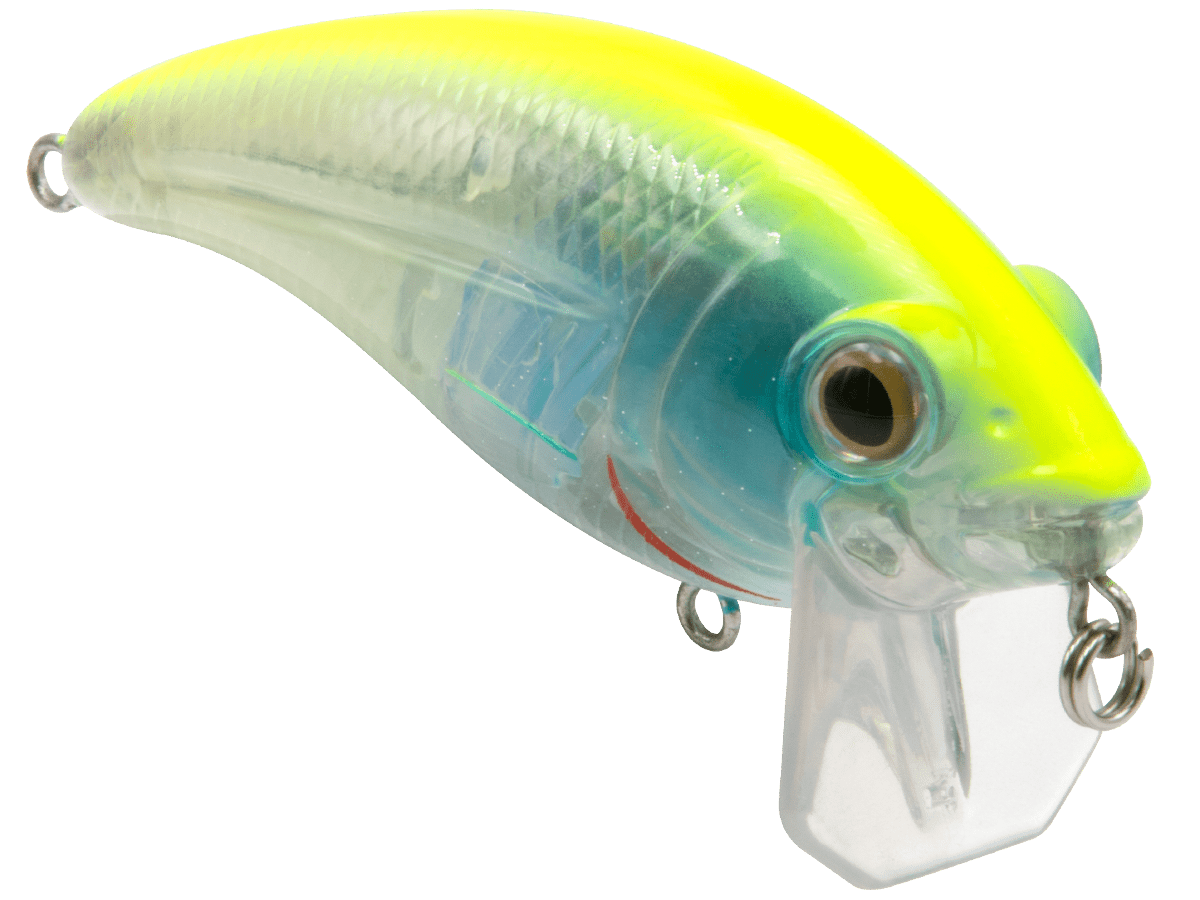 Bull Nose - Taylor Holler Tackle Co.