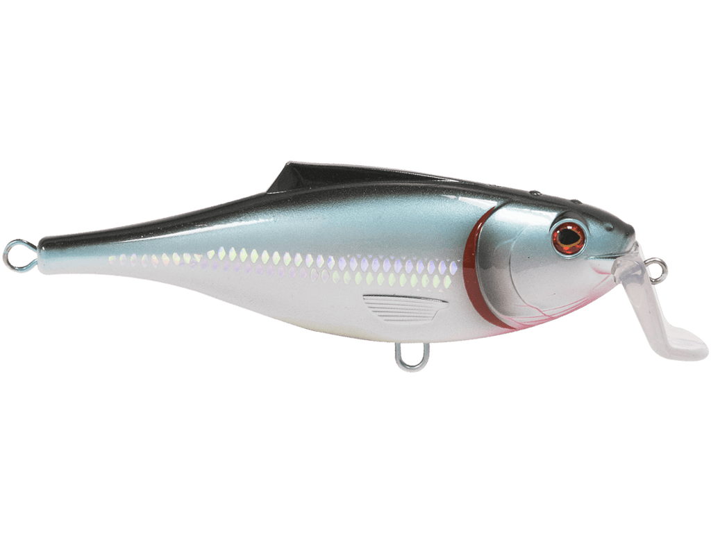 BullDozer - Taylor Holler Tackle Co.