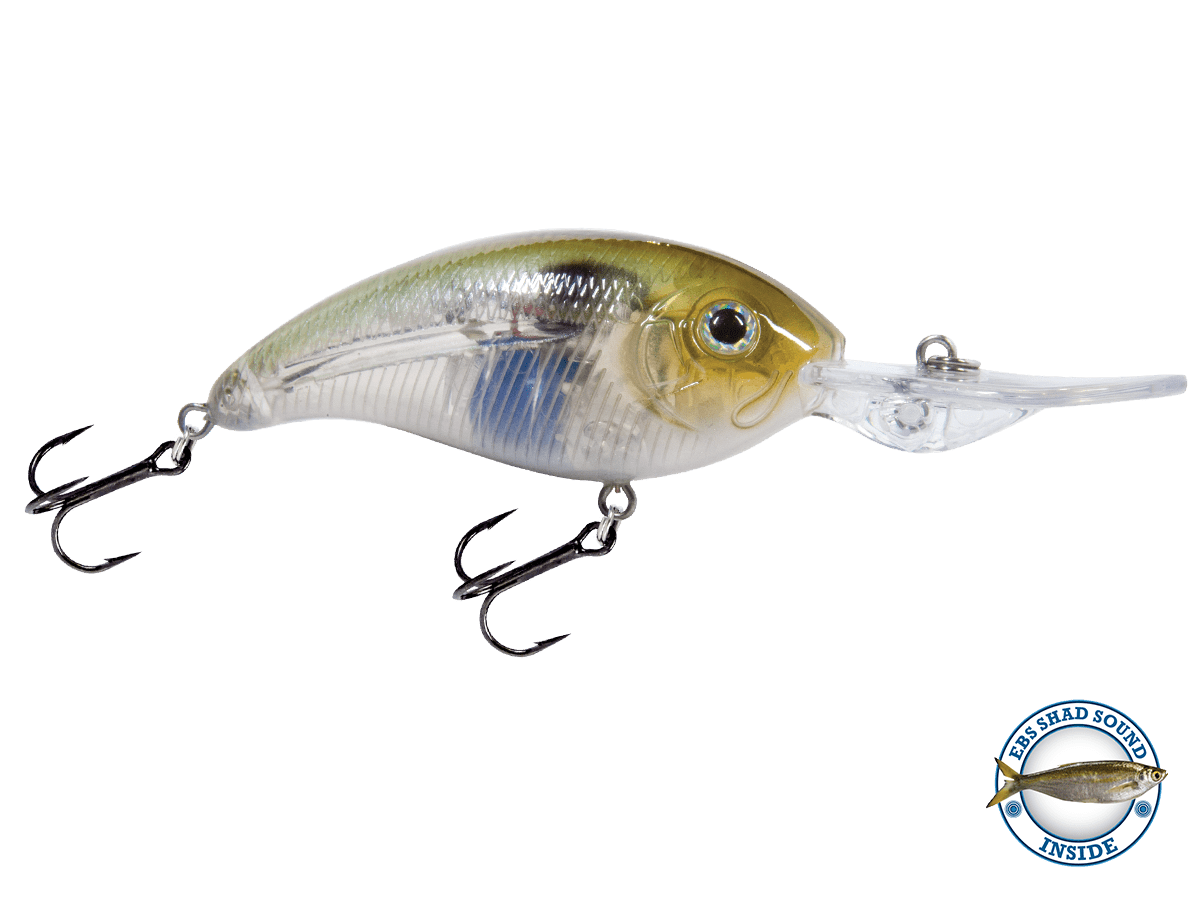 Deep Impact 12 - Taylor Holler Tackle Co.