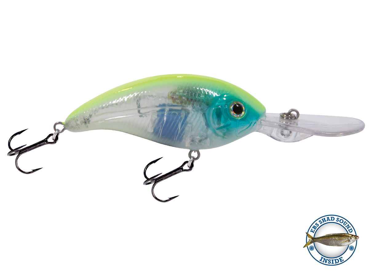 Deep Impact 12 - Taylor Holler Tackle Co.