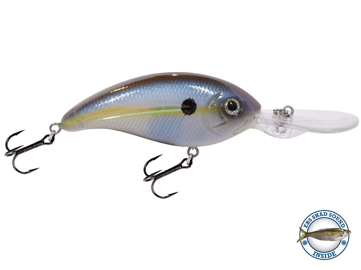 Deep Impact 12 - Taylor Holler Tackle Co.