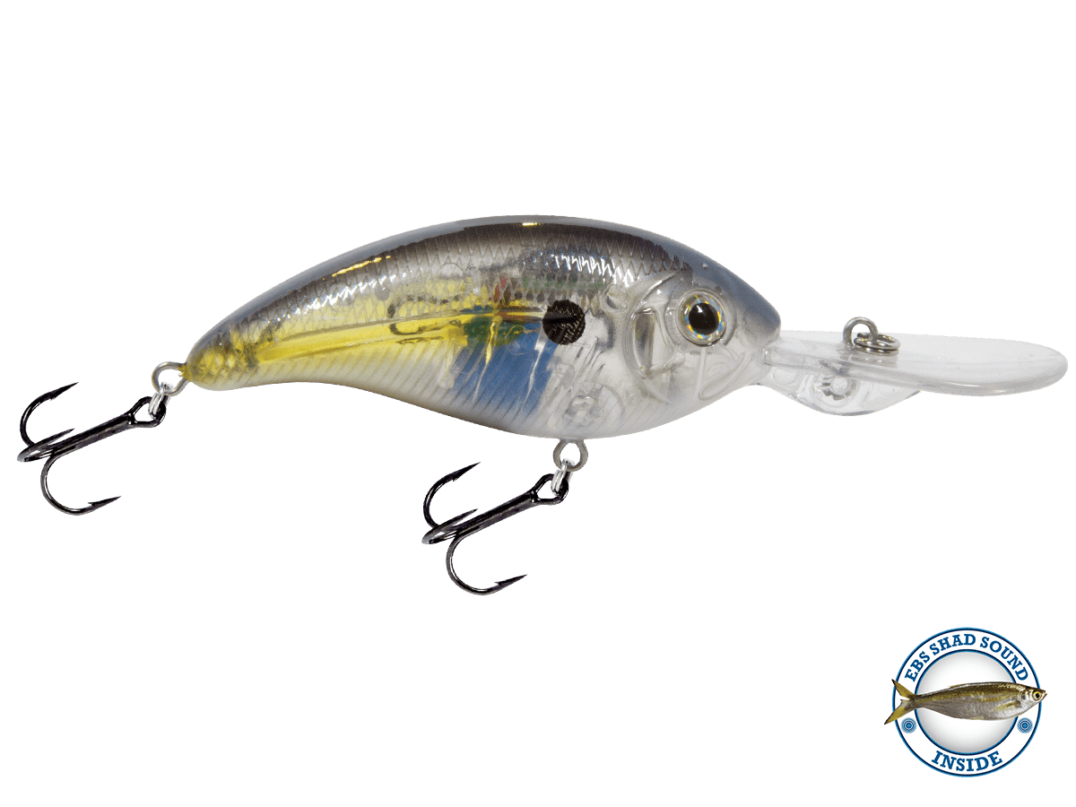 Deep Impact 12 - Taylor Holler Tackle Co.