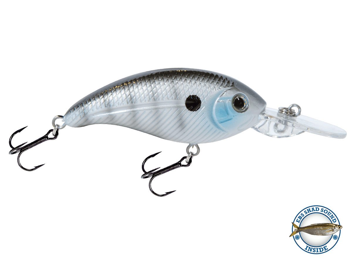 Deep Impact 6 - Taylor Holler Tackle Co.