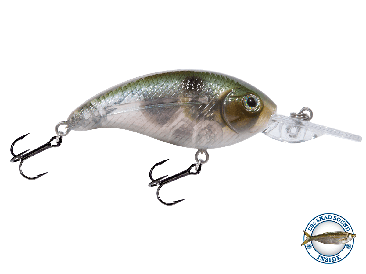 Deep Impact 6 - Taylor Holler Tackle Co.
