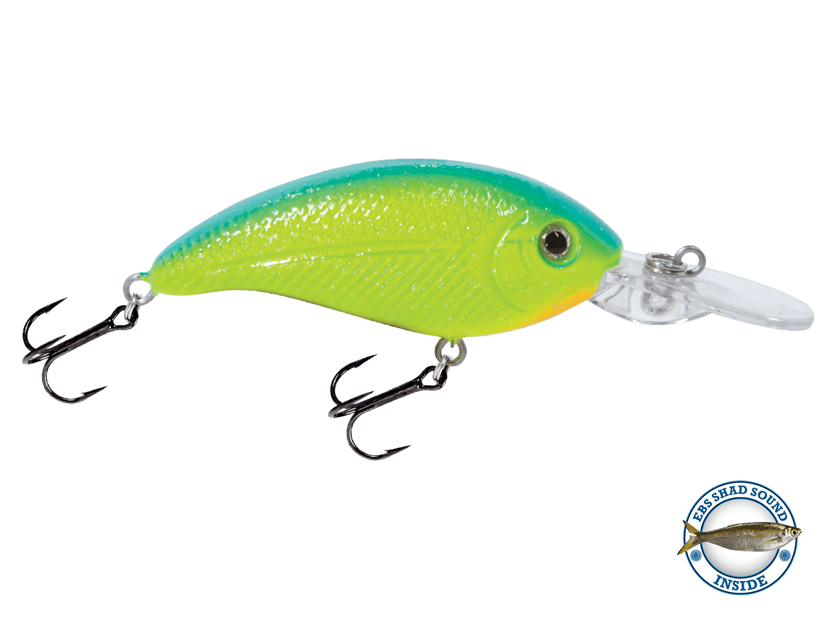 Deep Impact 6 - Taylor Holler Tackle Co.
