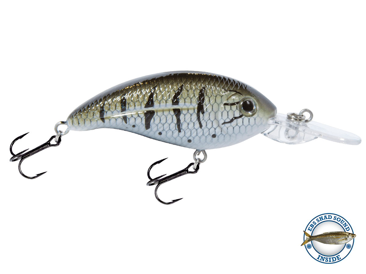 Deep Impact 6 - Taylor Holler Tackle Co.