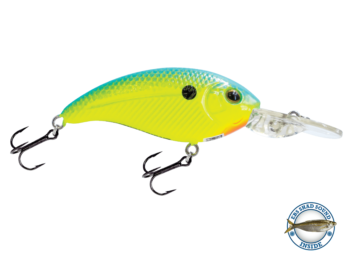 Deep Impact 6 - Taylor Holler Tackle Co.