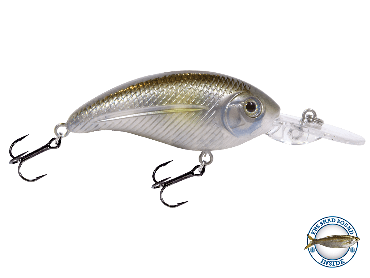 Deep Impact 6 - Taylor Holler Tackle Co.