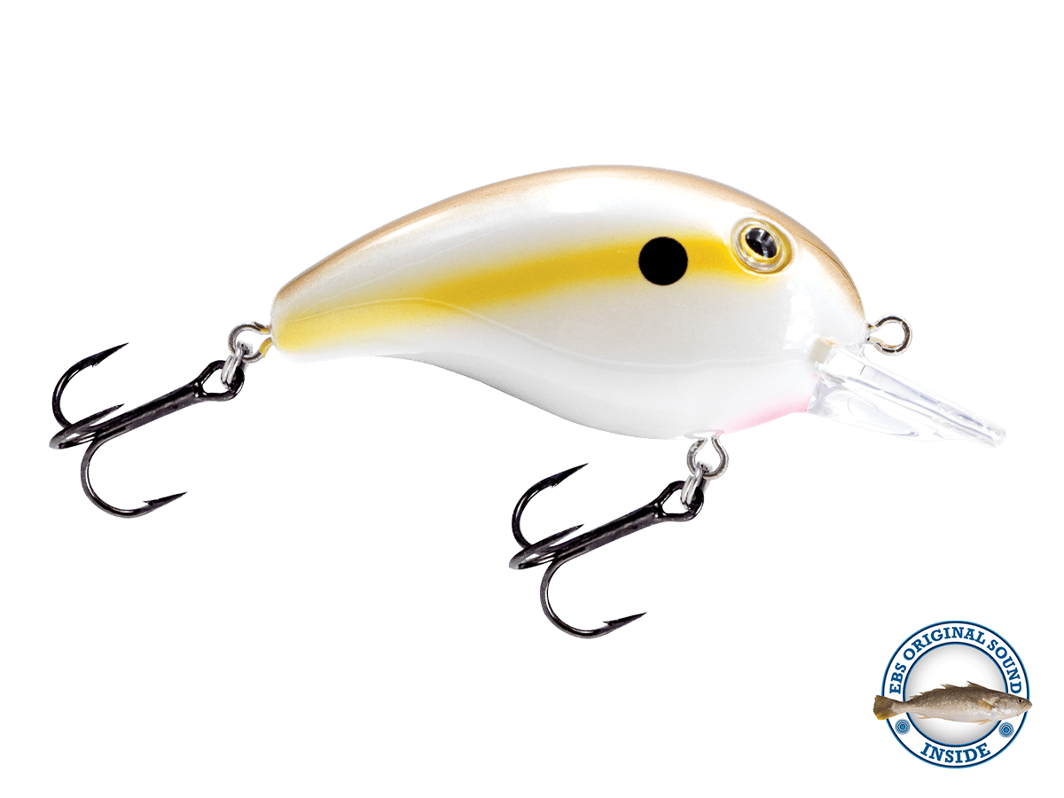 Dive Master Jr - Taylor Holler Tackle Co.
