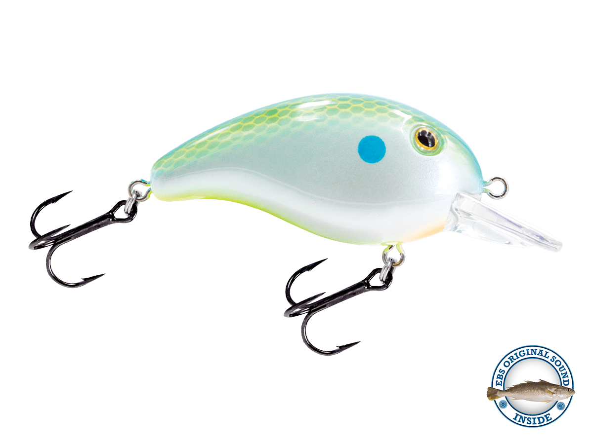 Dive Master Jr - Taylor Holler Tackle Co.
