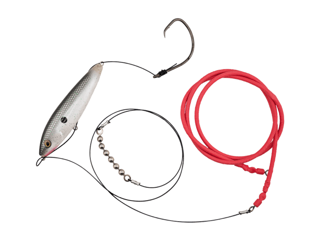 Gatto Loco Catfish Rig by Livingston Lures - Taylor Holler Tackle Co.