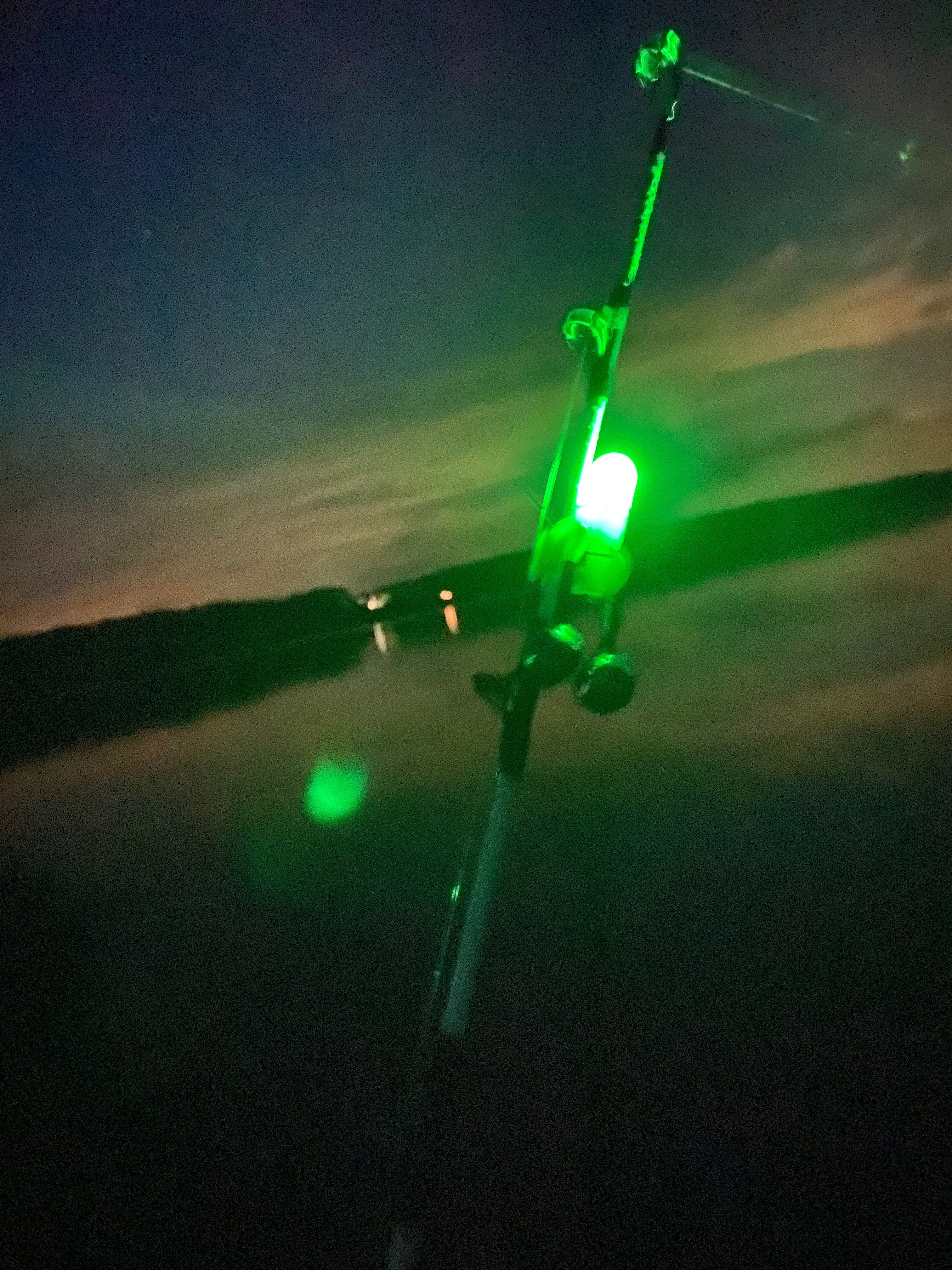 Bite Bells W/ LEDs Green - Taylor Holler Tackle Co.