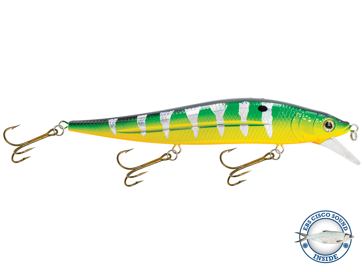 Jerkmaster 10" - Taylor Holler Tackle Co.