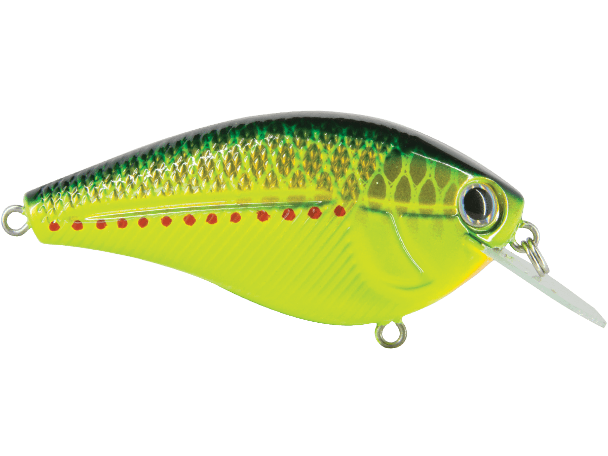 Primetyme CB 2.0 - Taylor Holler Tackle Co.