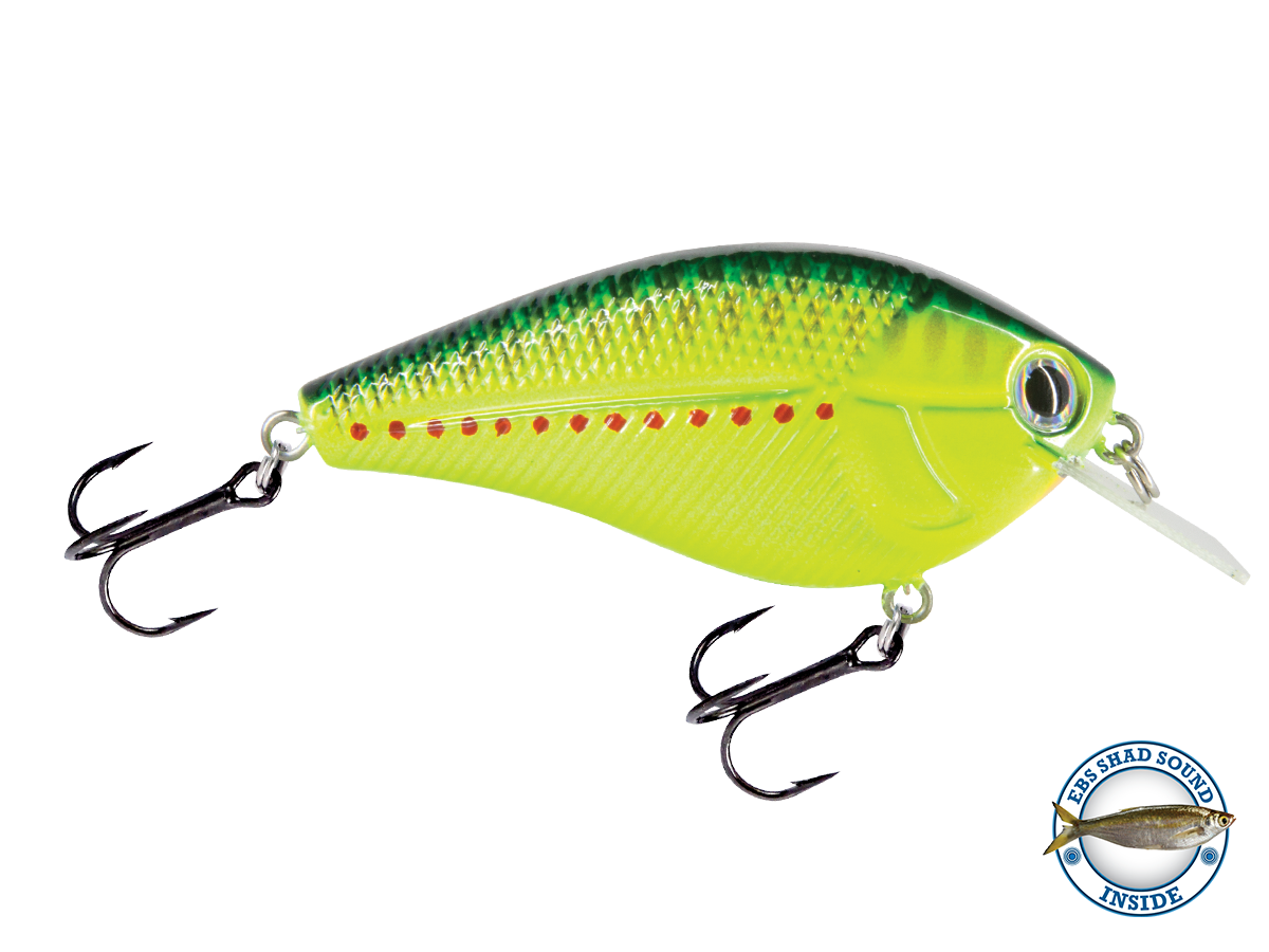Primetyme SQ 2.0 - Taylor Holler Tackle Co.