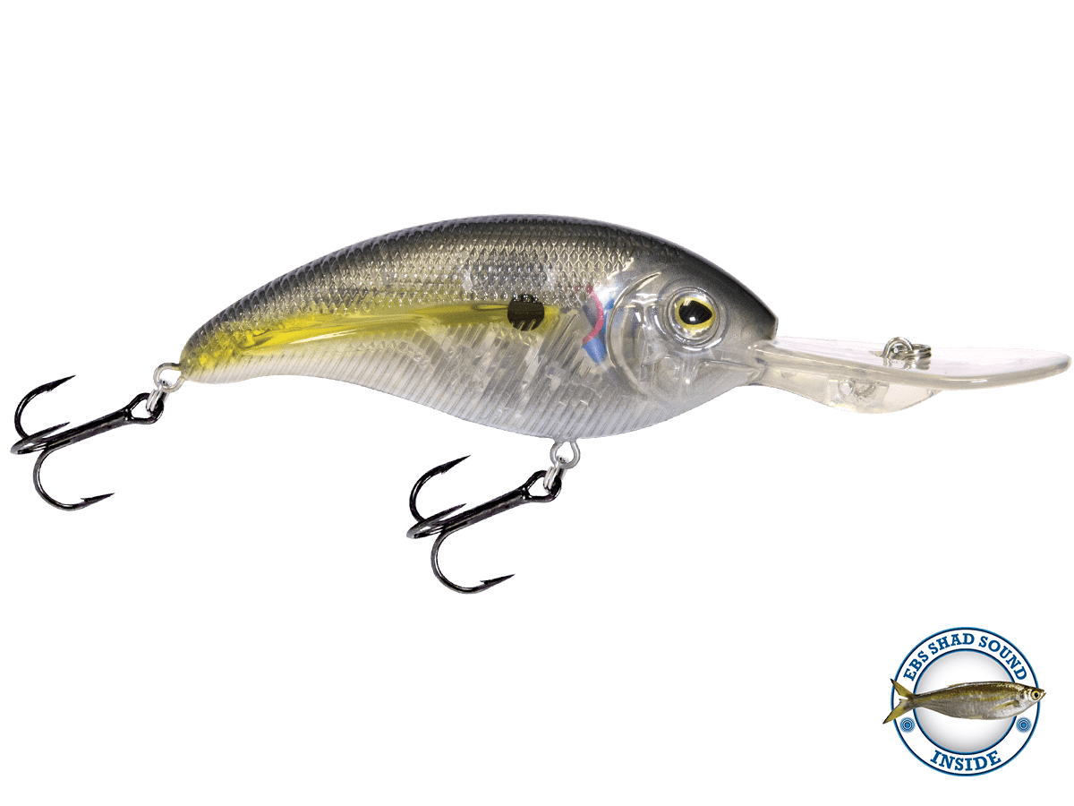 Sale Item - Deep Impact 18 - Taylor Holler Tackle Co.