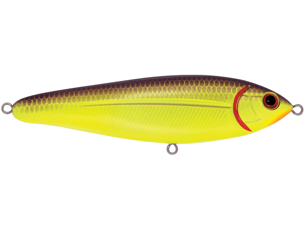 School Master - Taylor Holler Tackle Co.
