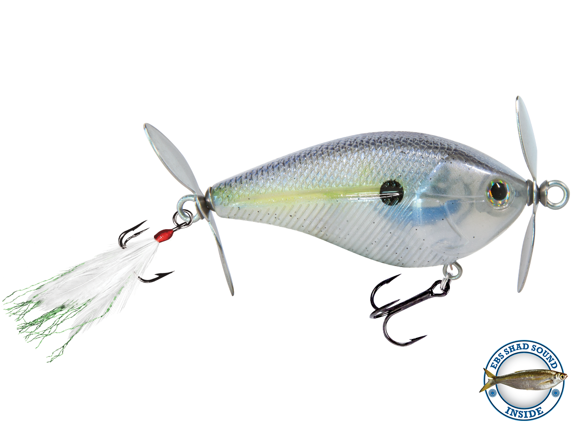 SpinMaster - Taylor Holler Tackle Co.