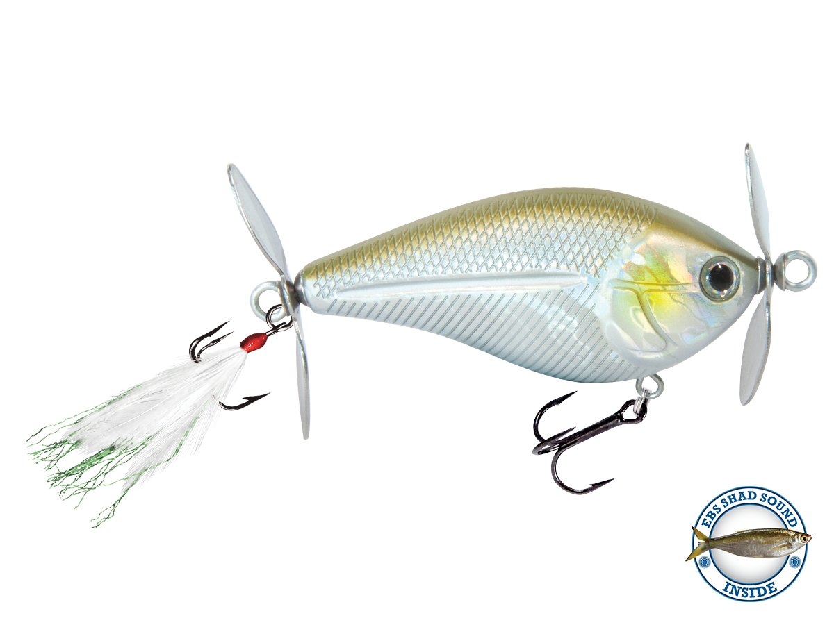 SpinMaster - Taylor Holler Tackle Co.