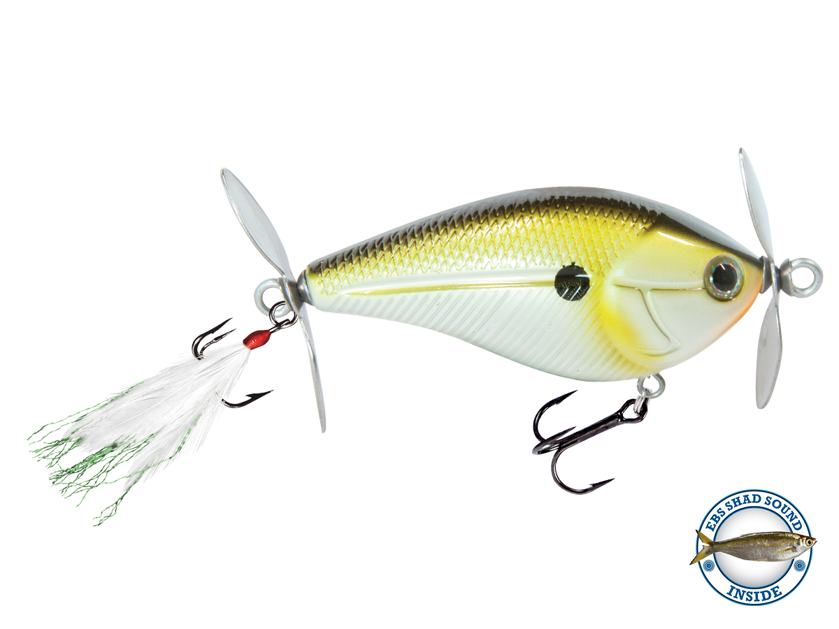 SpinMaster - Taylor Holler Tackle Co.