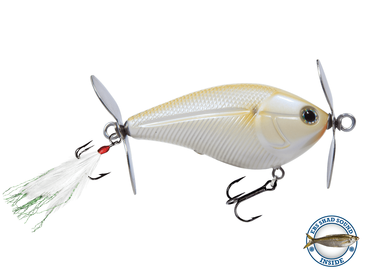 SpinMaster - Taylor Holler Tackle Co.